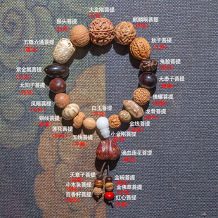 菩提子108种十八子天然手串 星月金刚凤眼核桃文玩车挂件挂项链