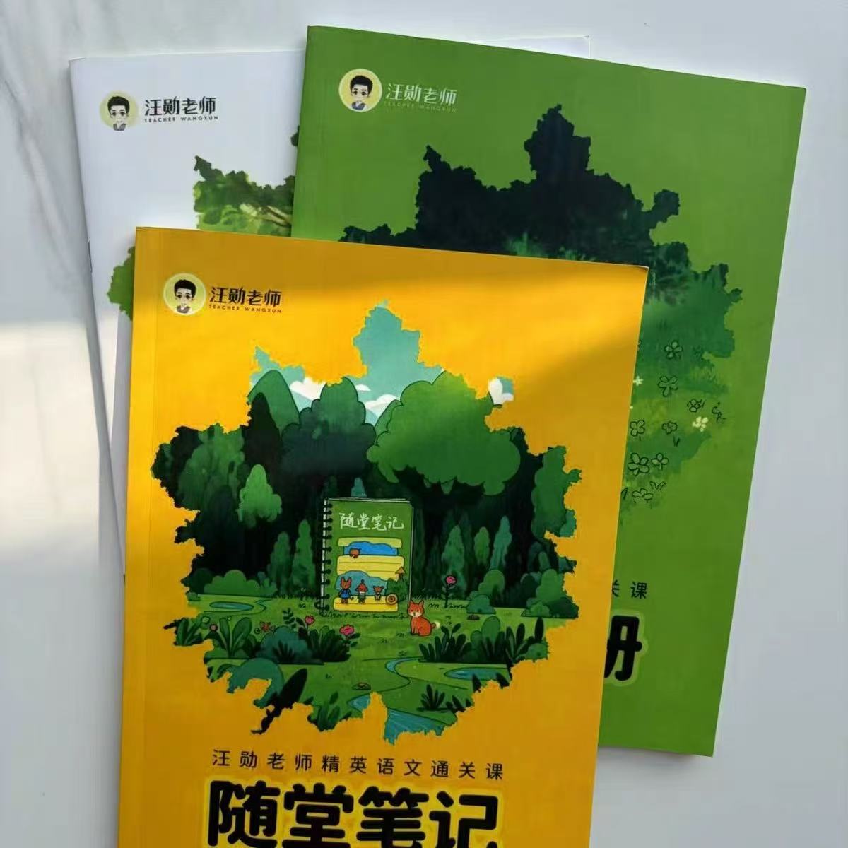 2026年汪勋老师上下册通关笔记