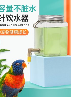 撞针饮水器鸟用水杯芦丁鸡水壶自动大容量宠物芙蓉鸟鹦鹉小鸡饮水