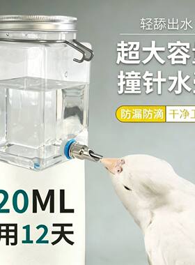 鹦鹉饮水器撞针水壶牡丹玄凤宠物兔子金丝熊荷兰猪龙猫自动喂水器