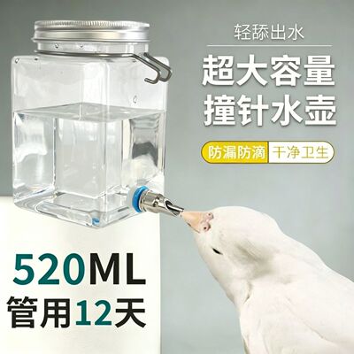 鹦鹉饮水器撞针水壶牡丹玄凤宠物兔子金丝熊荷兰猪龙猫自动喂水器