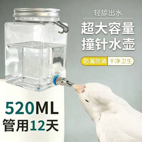 鹦鹉饮水器撞针水壶牡丹玄凤宠物兔子金丝熊荷兰猪龙猫自动喂水器