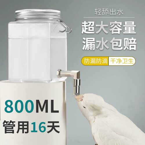 鹦鹉不锈钢撞针饮水器玄凤鸟用撞针水壶喝水器小太阳八哥喂水器
