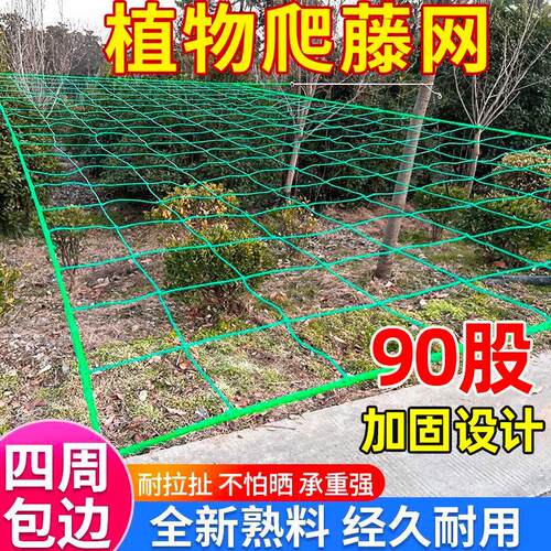 植物爬藤网菜园园艺黄瓜藤架百香果墙面阳台攀爬网格支架丝瓜架网
