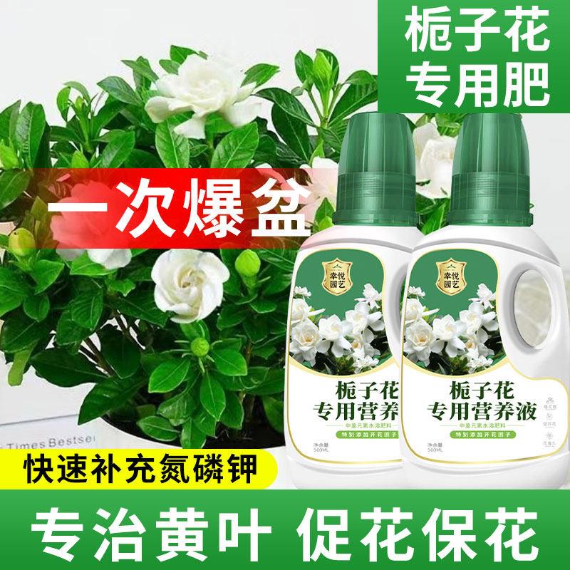 栀子花专用营养液开花肥叶子发黄水培栀子花肥料专用肥酸性营养液