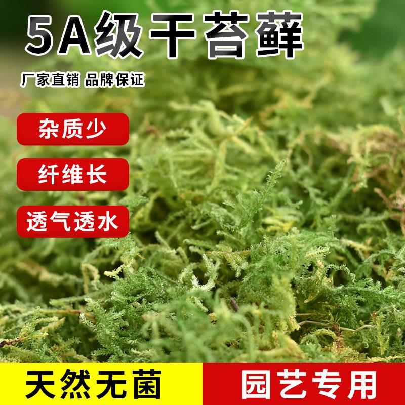 水苔蝴蝶兰专用的营养土干苔藓种植营养土石斛兰花爬宠垫材纯天然