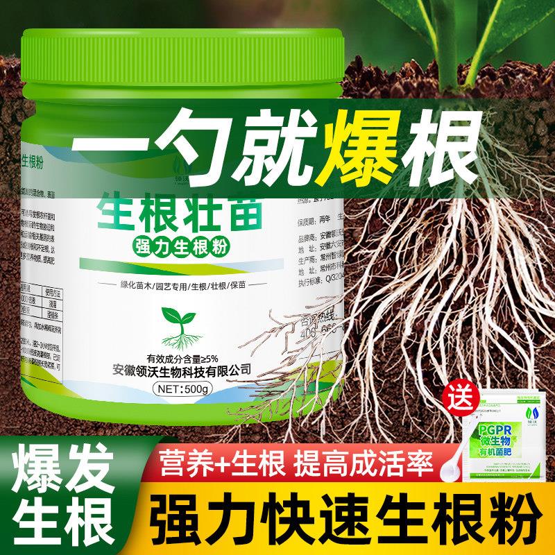 生根粉植物通用树木壮苗生根剂扦插移栽绿植用强力速效药水营养液