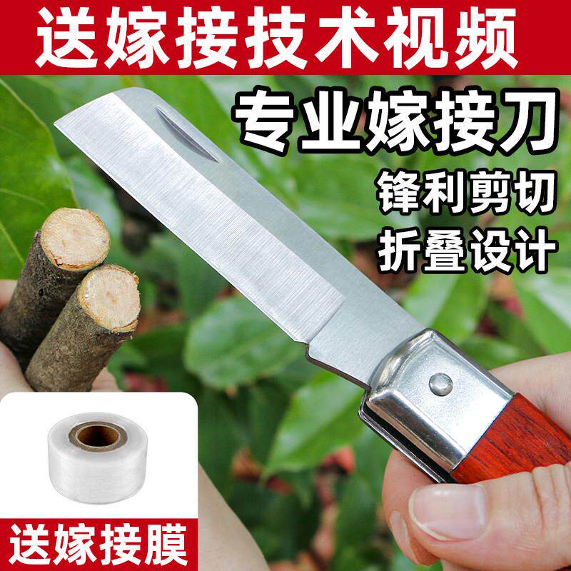 德国锋钢果树嫁接专用刀嫁接树苗神器园艺植物芽接刀专业接树工具
