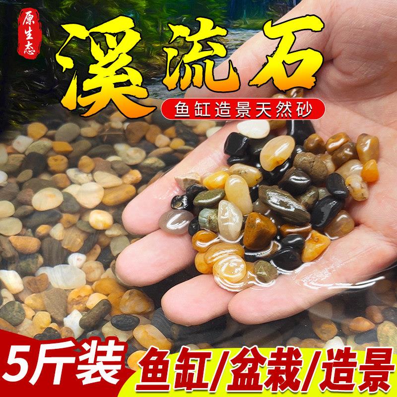 溪流石天然原生鱼缸用品大全底部砂石专用大块乌龟缸造景石头铺底图片