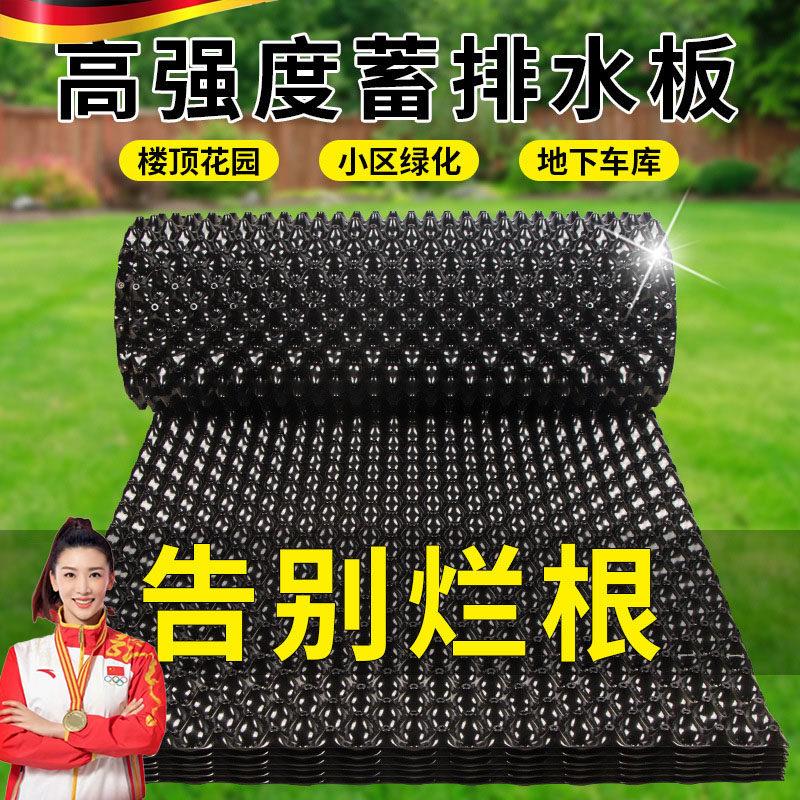 屋顶花园排水板种菜楼顶绿化蓄水板滤水板双面阻根板控根器土工布