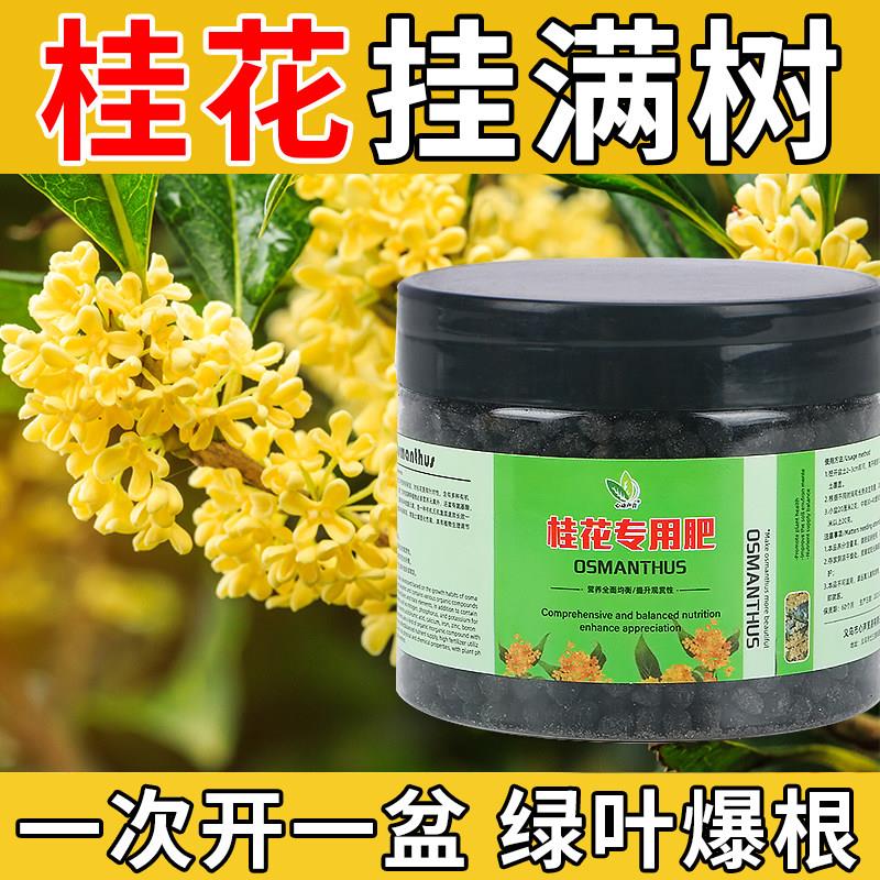 桂花树专用肥料花养花改善黄叶有机肥绿植盆栽四季通用型复合肥促