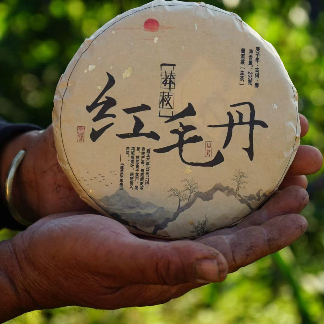 2020年红毛丹 莽枝普洱茶生茶 红毛丹 古树 头春头采  200克1饼