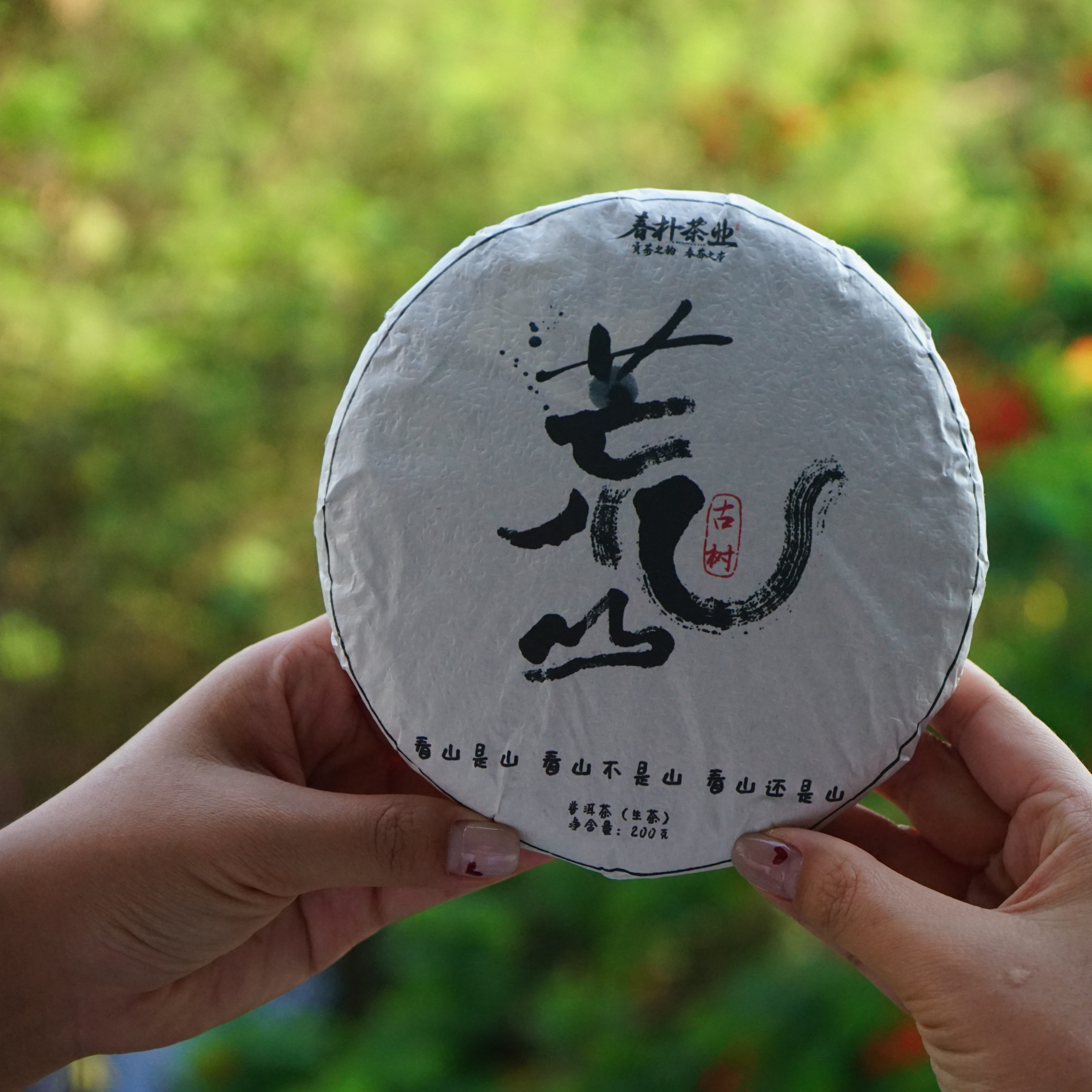 荒山古树莽枝普洱茶生茶2025年头春头采 200克古六山之一
