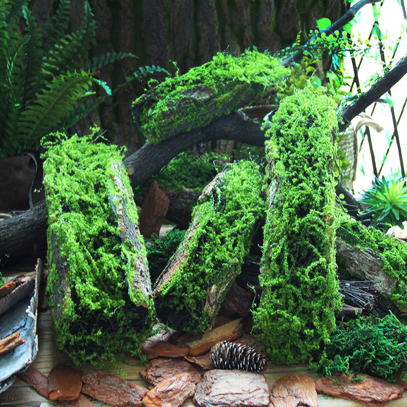 创意青苔苔藓树皮摆件手工园林装饰造布景橱窗热带雨林植物角