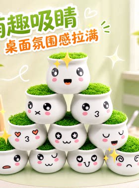 手工diy花盆材料包毛线钩织