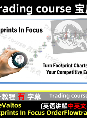 MikeValtos Footprints In Focus OrderFlow Trading(中英文字幕)