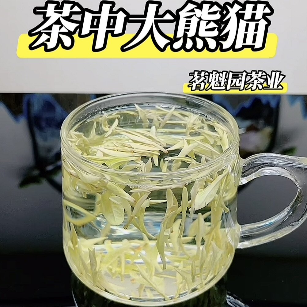 奶白茶单芽2026新茶叶黄金芽白茶安吉明前特级绿茶高白化白叶一号