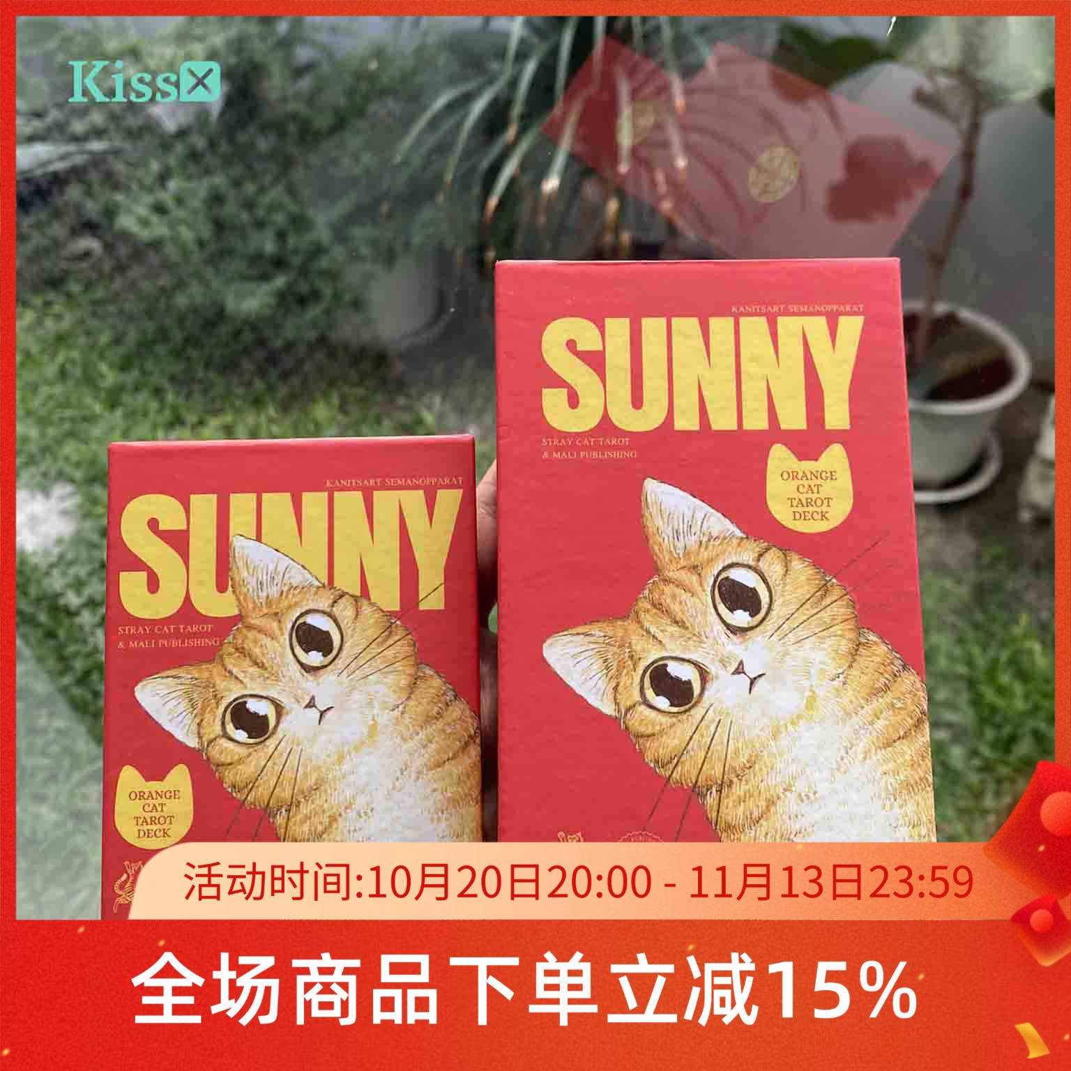 【现货】进口正版 阳光橘猫塔罗牌 Sunny Tarot 罗塔牌
