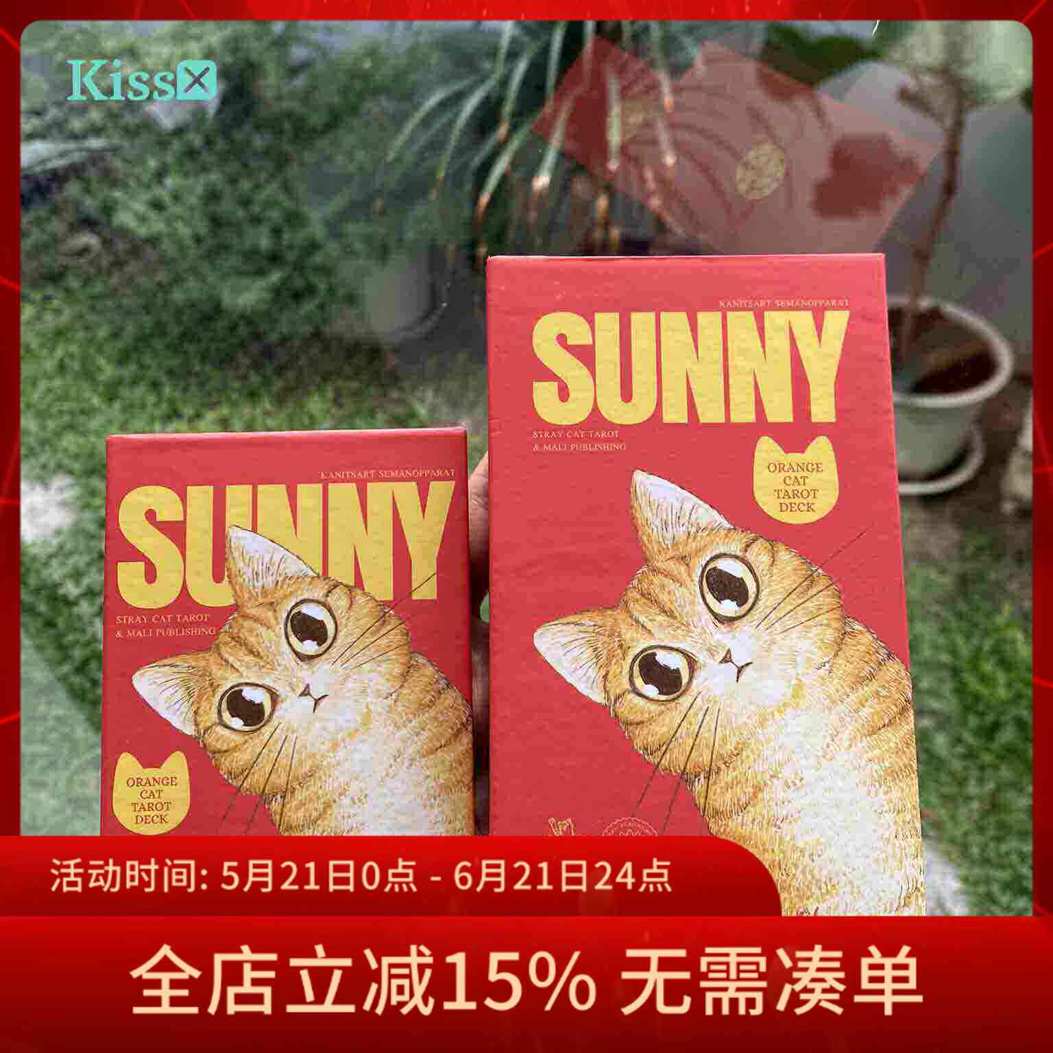 【现货】进口正版 阳光橘猫塔罗牌 Sunny Tarot 罗塔牌