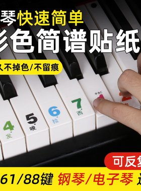 简谱音调二合一初学钢琴贴纸