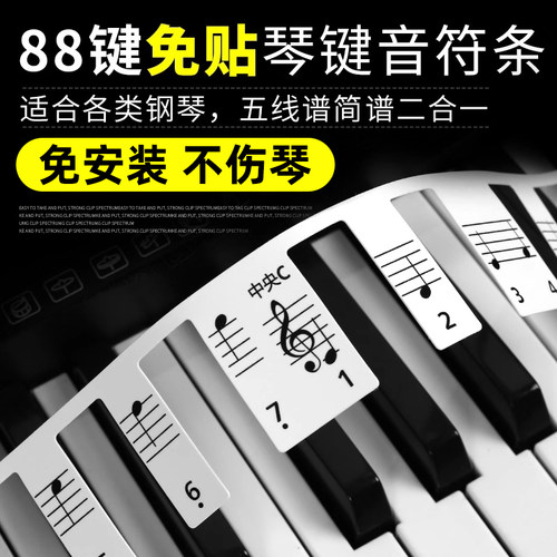 免粘贴61键初学入门音符五线谱
