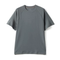 Smoky Gray
