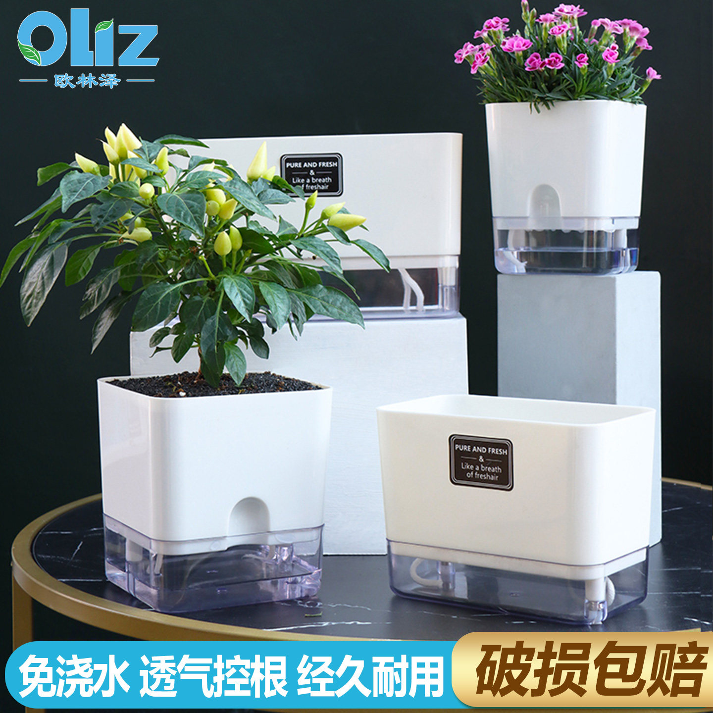 树脂花盆绿萝花盆懒人自吸水花盆双层塑料盆栽室内桌面透明多肉盆