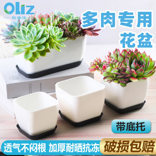 多肉花盆家用透气带托盘大口径桌面阳台多肉小盆栽绿萝塑料小花盆