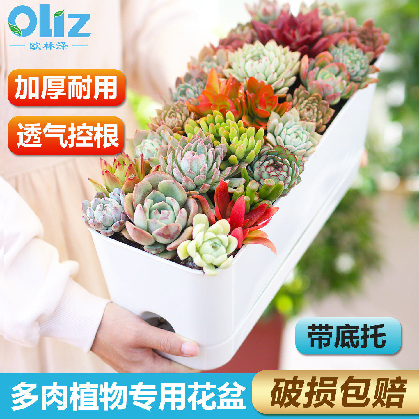 多肉花盆长方形花盆透气大口径客厅阳台多肉盆专用盆花盆景带底托