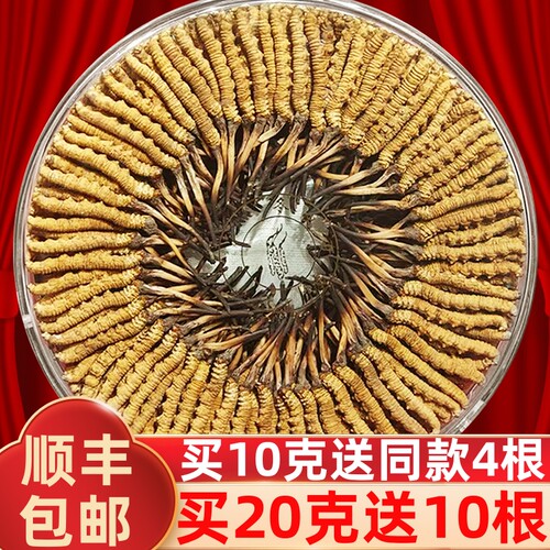 冬虫夏草官方旗舰店10克礼盒装
