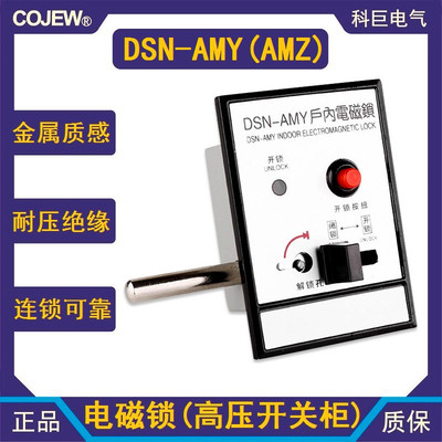 DSN-AMY/Z电磁锁高压开关柜门锁