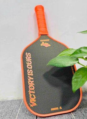 HTPICK新品T700匹克球球拍钛丝挥拍热压磨砂pickleball赛事级NEW