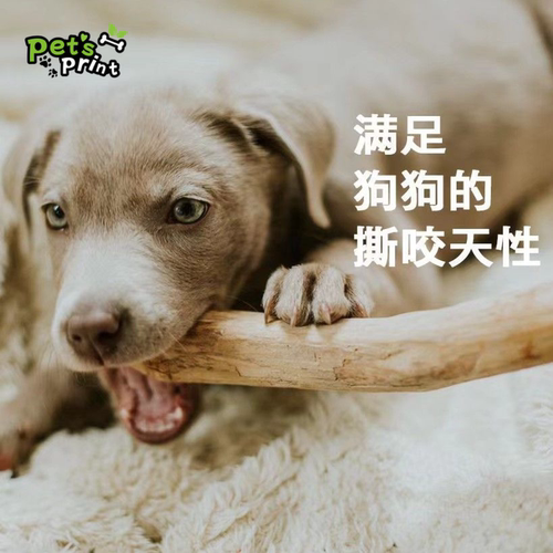 狗狗咖啡木磨牙棒洁齿护齿