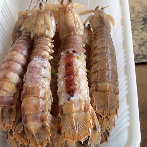 熟冻大母皮皮虾椒盐皮皮虾1盒1斤14只左右酒店皮皮虾烧烤皮皮虾