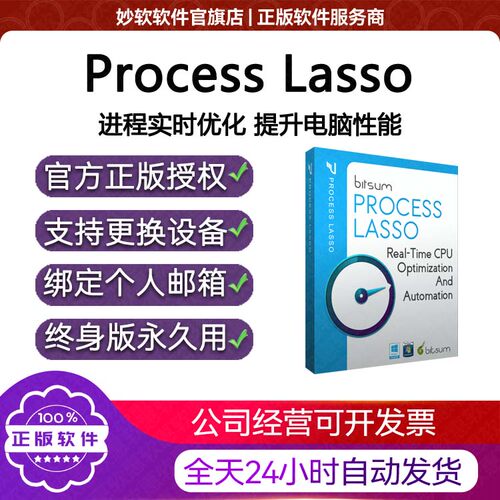 Process Lasso Pro专业版进程优化中文版注册序列号密钥
