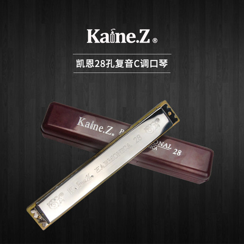 乐器凯恩28孔重音复音