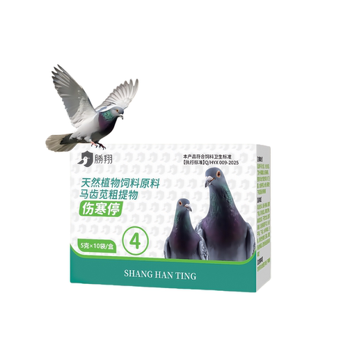 胜翔鸽药鸽伤寒停粉鸽用品信鸽药品鸽子包邮赛鸽调理保健