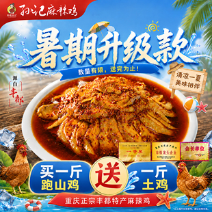 华明孙记正宗丰都麻辣鸡块500g精品去头去脖重庆非遗美食新鲜即食
