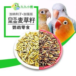 九九鹦鹉双色白玉黑金麦草籽带壳麦草子虎皮玄凤牡丹鹦鹉零食籽