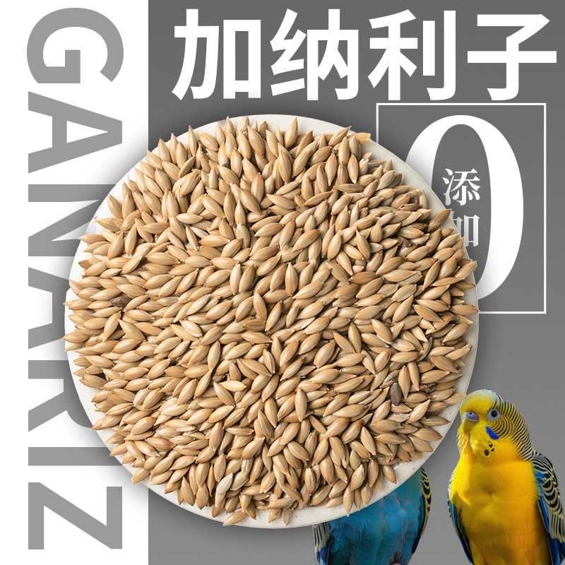 九九鹦鹉加纳利子粮食饲料鸟食玄凤虎皮牡丹专用鸟奖励零食鸟粮