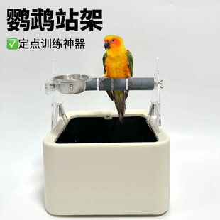 玄凤小太阳和尚牡丹虎皮鹦鹉定点训练定制垃圾桶拉便便鹦鹉站架桶