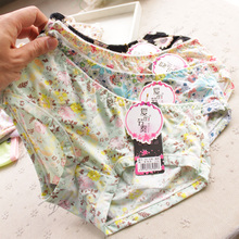 Slip doux en coton - Ref 644822 Image 27