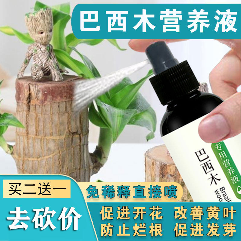 水培巴西木营养液免稀释专用的营养液幸运木开花八西木专用营养液,鲜花速递/花卉仿真/绿植园艺,家庭园艺肥料,淘宝优惠券,粉丝福利购,淘宝优惠卷