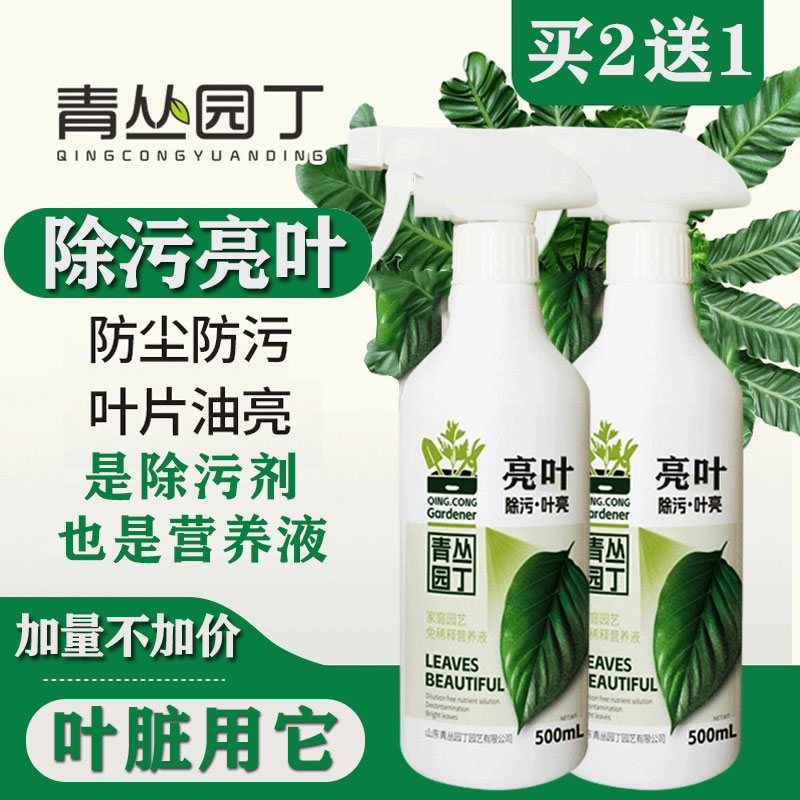 买2送1除污叶亮叶绿叶油家庭园艺