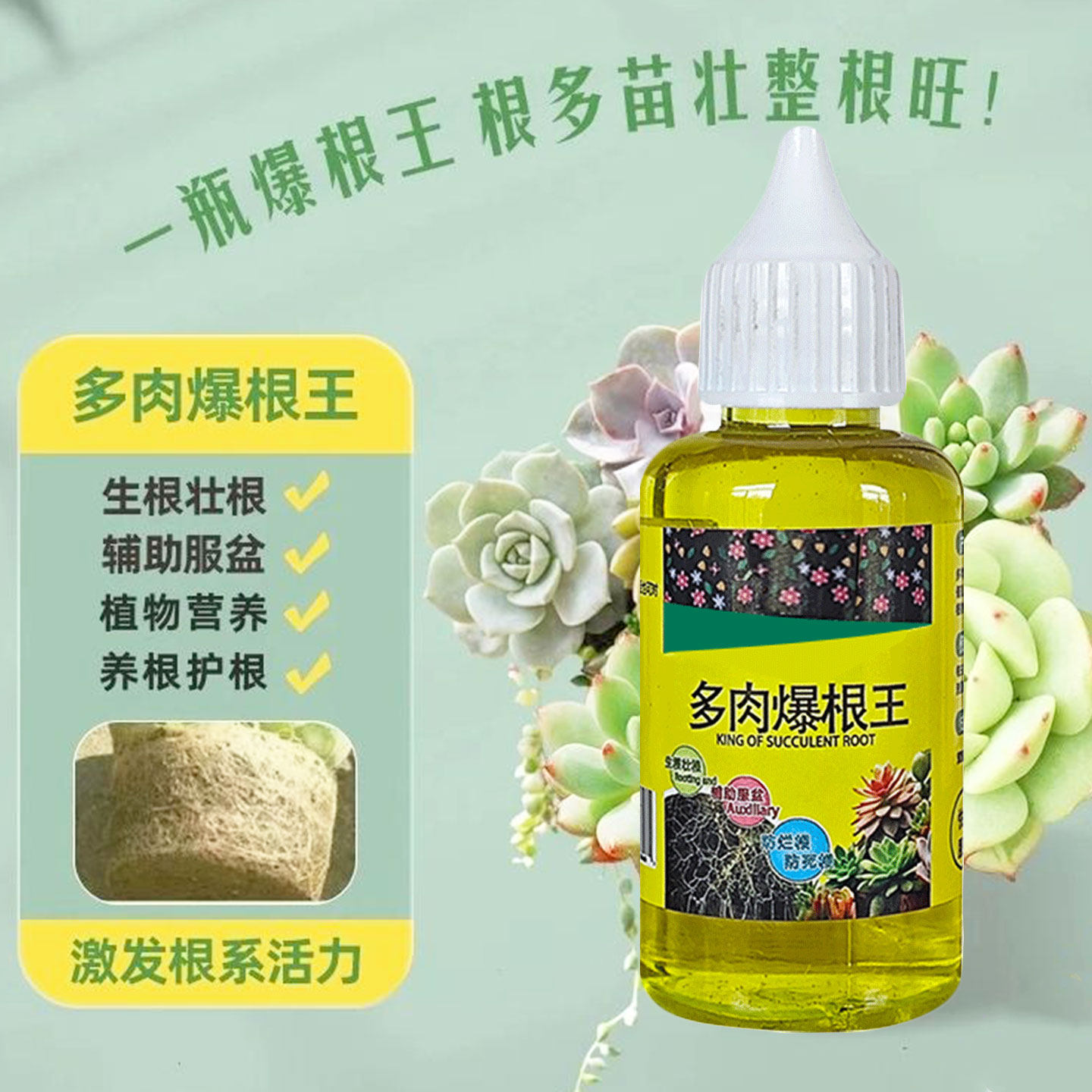 【多肉专用】多肉爆根王快速生根液多肉生根液壮苗植物通用营养液,鲜花速递/花卉仿真/绿植园艺,家庭园艺肥料,淘宝优惠券,粉丝福利购,淘宝优惠卷