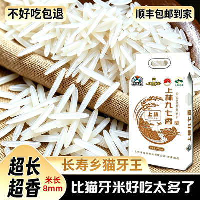 广西上林97香米一级长粒香米