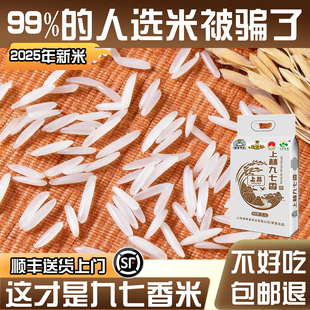 广西上林97香米猫牙米一级长粒香大米丝苗米真空包装