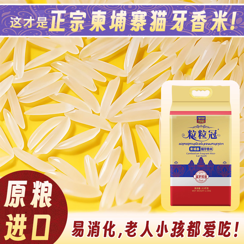 柬埔寨猫牙香米原粮进口一级大米原装猫牙米长粒香米丝苗米易消化