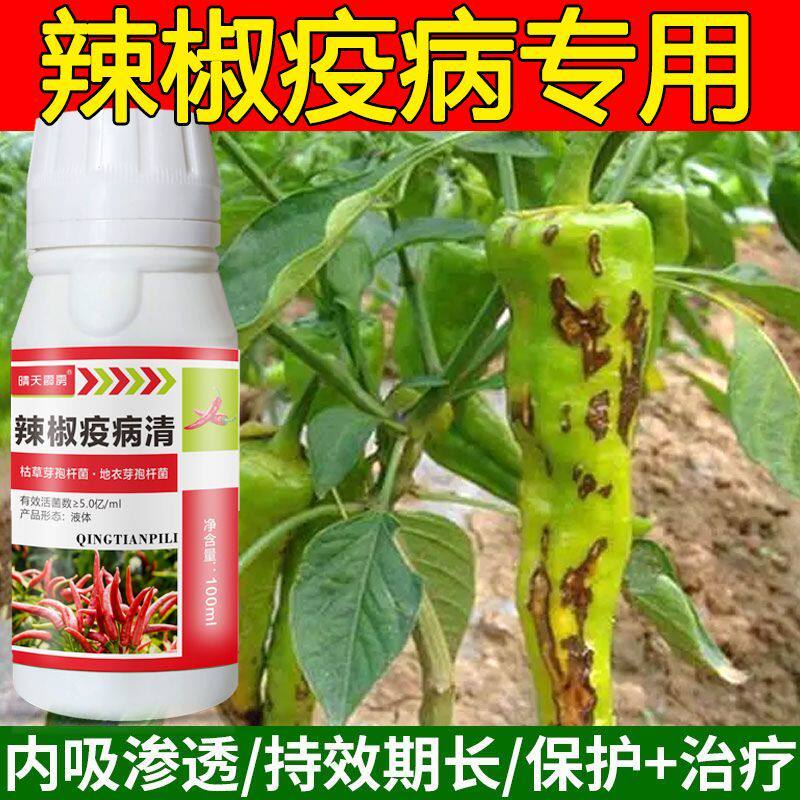 辣椒病专用药辣椒杀菌剂叶斑病炭疽病疫病霜霉病黄叶病通用正品