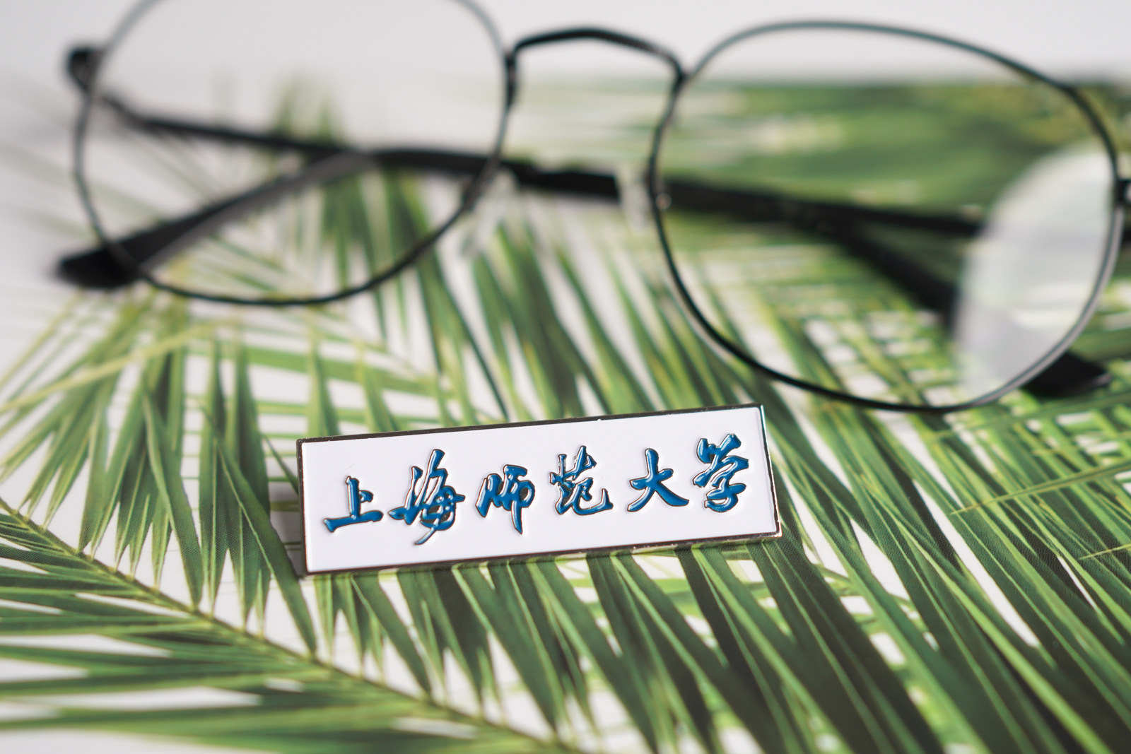 上海师范大学校徽上师大校徽上海师范大学徽章上海师范大学纪念品